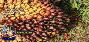 Akuisisi Posco Ubah Total Arah Bisnis Mantan Emiten Sampoerna Ini