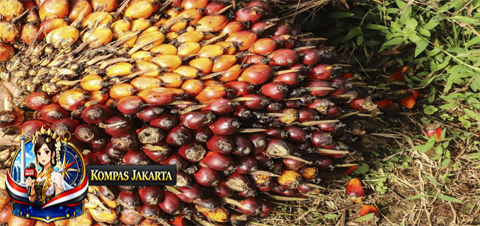 Akuisisi Posco Ubah Total Arah Bisnis Mantan Emiten Sampoerna Ini