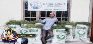 Bisnis Rumput Liar, Pemuda di Sleman Hasilkan Jutaan Rupiah Per Bulan